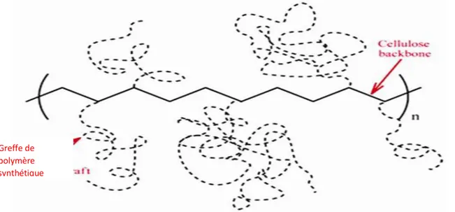 Figure 06 : la structure de gel (hydrogel après la contacte avec l’eau) (site d’internet)  I.6