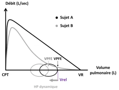 Figure  12.  Courbes  débit-volume  d’une  manœuvre  de  capacité  vitale  forcée  (trait  plein  épais)  et  d’un  cycle  ventilatoire  spontané au repos (trait plein fin)