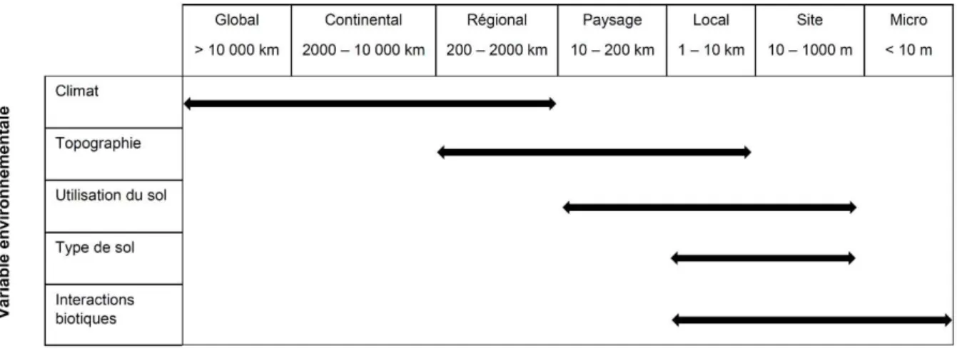 Figure 8 Exemple schématique de la façon dont différents facteurs peuvent affecter la distribution des espèces à  différentes échelles spatiales
