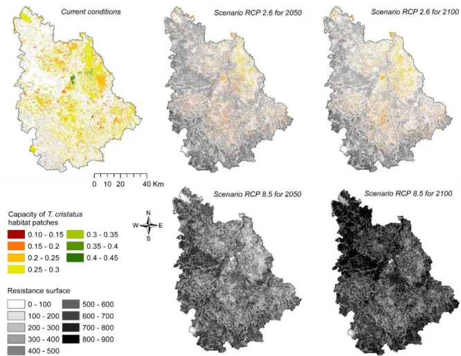 Fig.  3  Habitat  patches  and  resistance  surfaces  resulting  from  habitat  suitability  maps  of  T