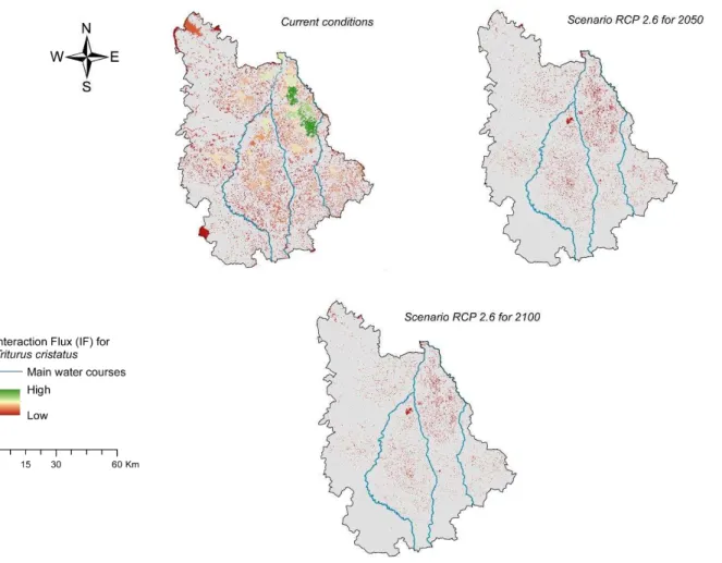 Fig. 5 Contribution of habitat patches to global connectivity through the study area identified  through  the  interaction  flux  (IF,  see  materials  and  methods  section  for  explanation)  for  T