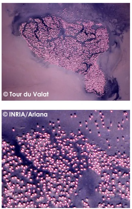 Fig. 7  T urquie. Haut : image initiale ; Bas : extrait du résultat