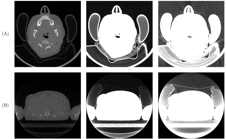 Fig. 6.5 – images utilis´ees pour les exemples d’op´erations morpho-math´ematiques (cf