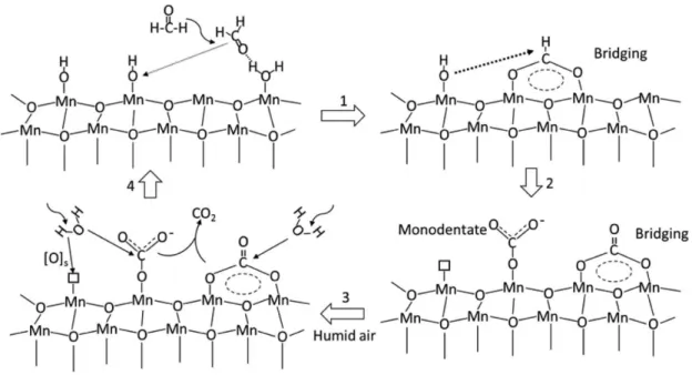 Figure I-26 : Mécanisme d'oxydation du formaldéhyde sur la birnessite en présence d'eau [117] 