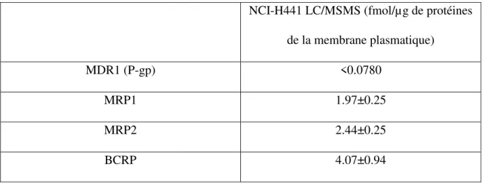Tableau 6  : Expression des transporteurs d’efflux dans la lignée NCI -H441. De (89) 