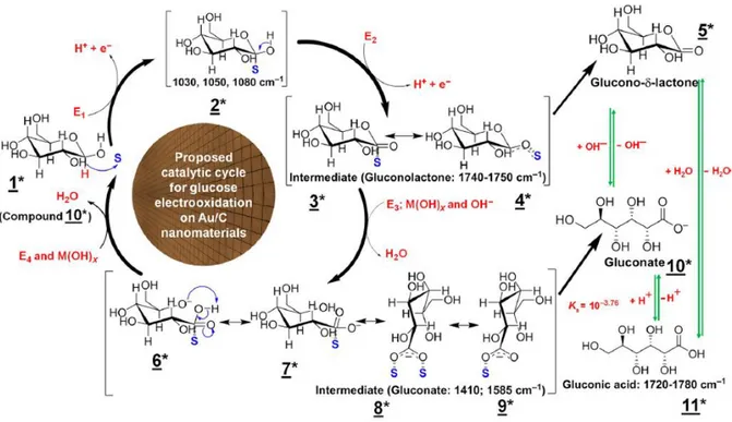 Figure 4. Mécanisme réactionnel de l'oxydation du glucose sur le platine en milieu basique proposé par  Holade