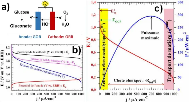 Figure 8. (a) Schéma d’une GBFC ; (b) courbes de polarisation théorique et expérimentale de la pile et  des électrodes ; (c) détail des différents régimes sur les courbes de polarisation et de puissance de la pile