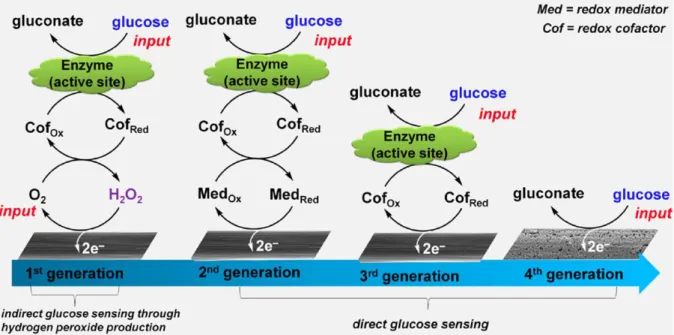 Figure 12. Générations de capteurs de glucose et mécanismes d'électrooxydation associés : enzymatique  (première, deuxième et troisième génération) et abiotique (quatrième génération)