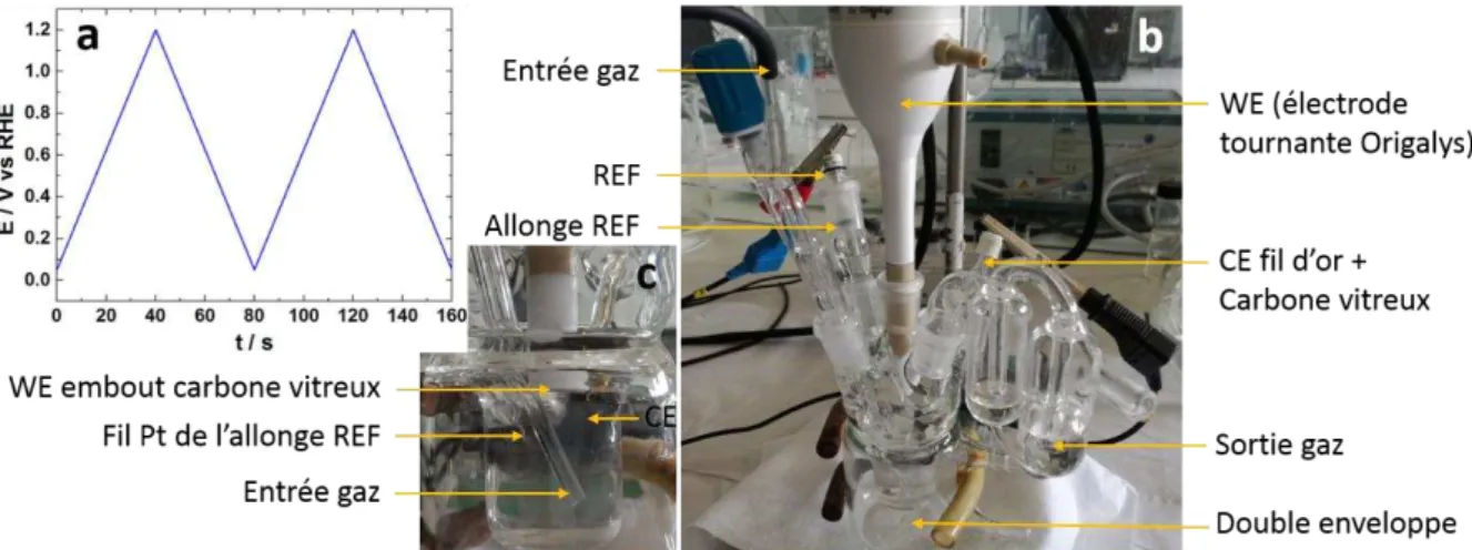 Figure  21.  (a)  Evolution  temporelle  du  potentiel  en  CV,  (b-c)  photos  légendées  de  la  cellule  à  3 électrodes utilisées en voltammétrie