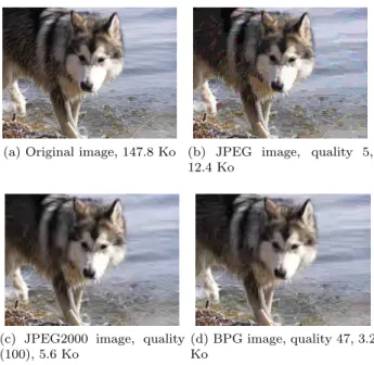 Figure 3 illustrates the compression artifacts introduced when encoding an image with each of the studied image encoding algorithm.