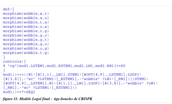 figure 11: Modèle Logol final :  tige-boucles de CRISPR