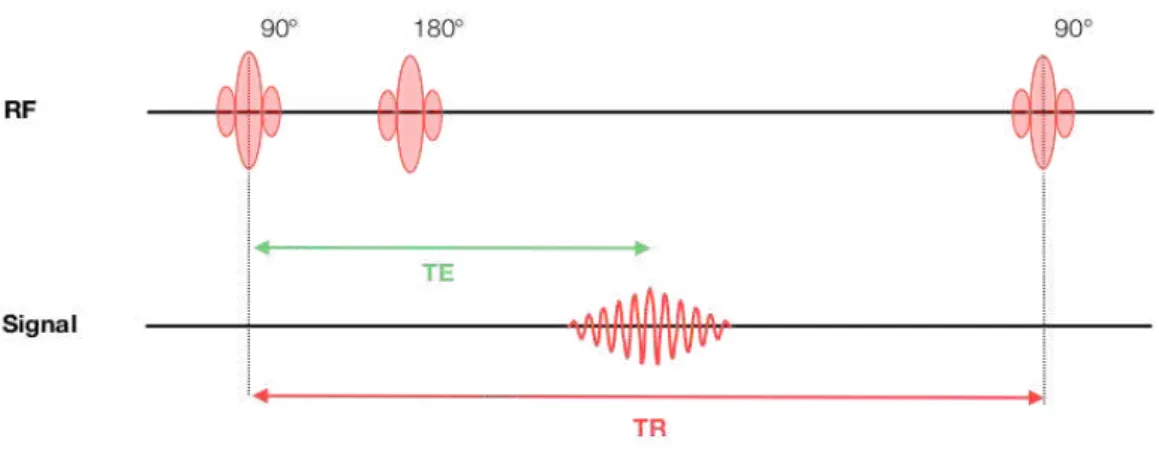 Figure 2.3 – Sch´emas explicatif des temps d’´echo et temps de r´ep´etition sur une s´equence ´echo de gradient (source [109] avec droits de reproduction).