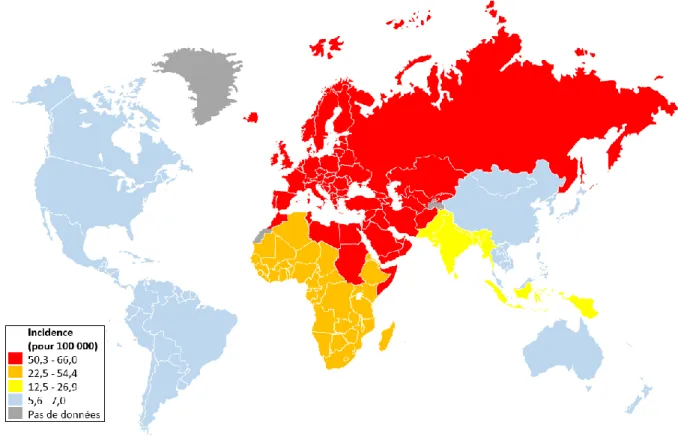 Figure  8.  Incidence  de  l’hépatite  C  dans  le  monde.  L’incidence  pour  100 000  personnes  est  représentée d’après le rapport Global hepatitis report 2017 de l’Organisation Mondiale de la Santé