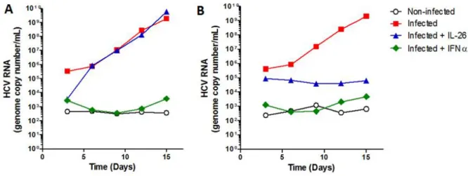 Figure 12. IL-26 réduit la charge virale dans les hépatocytes Huh7.5 infectés par HCV