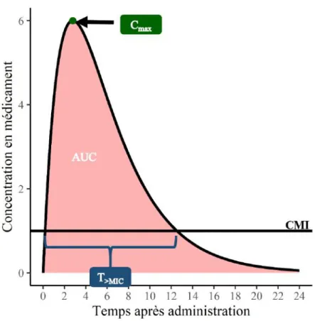 Figure 3. Index PK/PD. CMI est la concentration minimale inhibitrice, C max  est la concentration maximale obtenue après une  administration, T &gt;MIC  est la durée pendant laquelle l a concentration est supérieure à la CMI, AUC est l’aire sous la courbe 