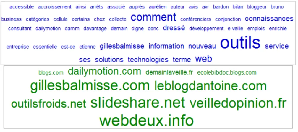 Figure 4 Nuage de tags et de sites sur la recherche &#34;Veille 2.0&#34; via Google 