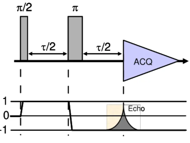 Fig. I.19 : Séquence d’écho de Hahn permettant de s’affranchir de l’hétérogénéité du champ  magnétique B 0  (Hahn, 1950)
