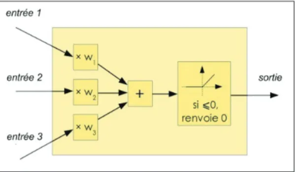 Figure 1 : Le neurone formel de  McCulloch et Pitts est un modèle mathématique très  simple dérivé d’une analyse  de la réalité biologique  (Michel Blancard 11 )