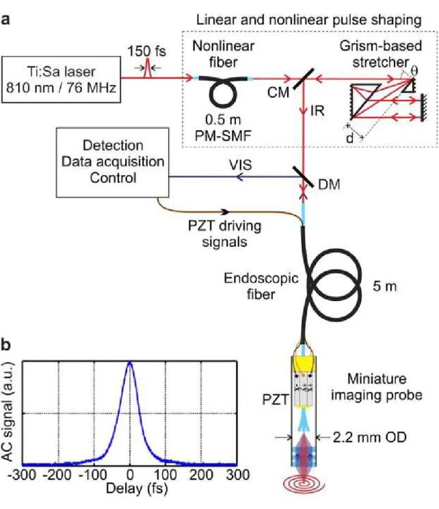 Figure 2.1 – TPME system with linear and nonlinear pulse shaping [31] (a) Scheme of the experimental setup; CM: cut mirror; DM: dichroic mirror; PZT: piezoelectric tube