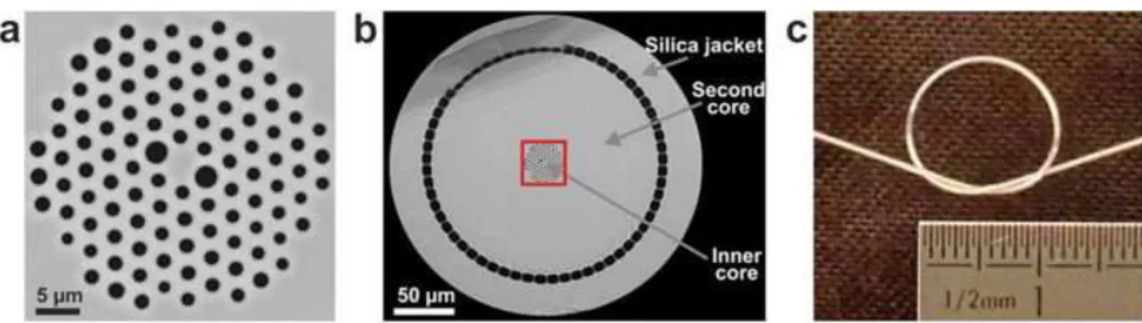 Figure 2.2 – Custom-design air-silica DC-PCF used as the endoscopic fiber within the TPME [31] (a) Close view of the inner core of the fiber through scanning electron microscopy (SEM)