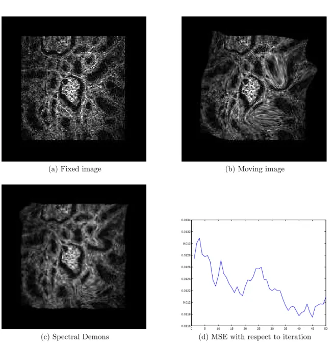 Figure 4.4 – Spectral Demons method on Microscopic images, ew = 1, sw = 4, iw = 20