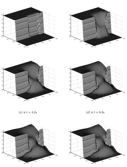 Fig. 6  Rupture partielle de barrage