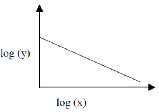 Figure II.2 Représentation d’une loi puissance dans un repère bi-logarithmique. 