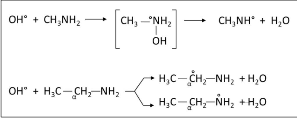 Figure 12 : Réaction du radical hydroxyle sur les amines, tiré de Berger (1997). 