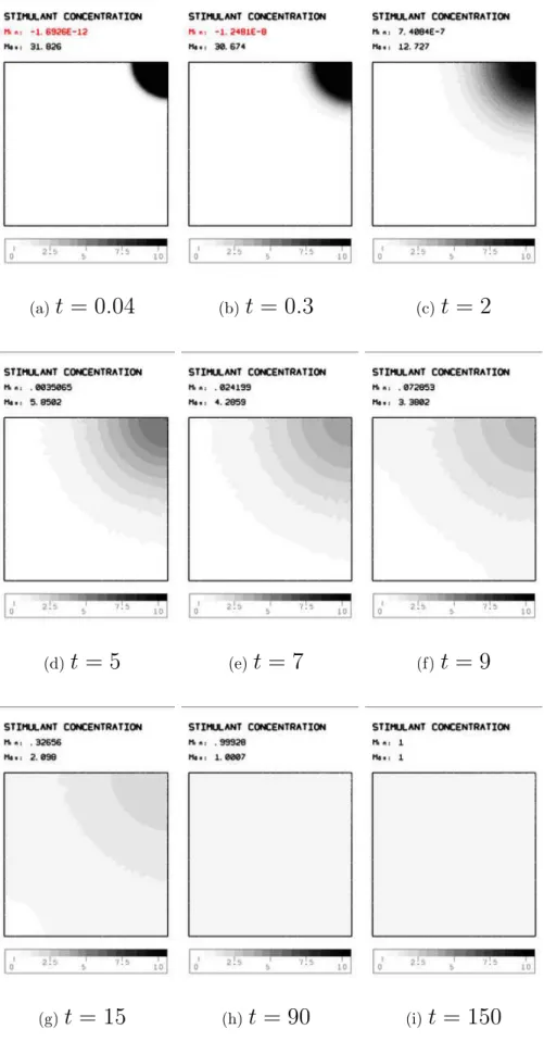Fig. 6 – Chimiotactie. Simulation en milieu liquide, mod` ele ` a 3 ´ equations. Distribution des stimulants ` a diff´ erents instants .
