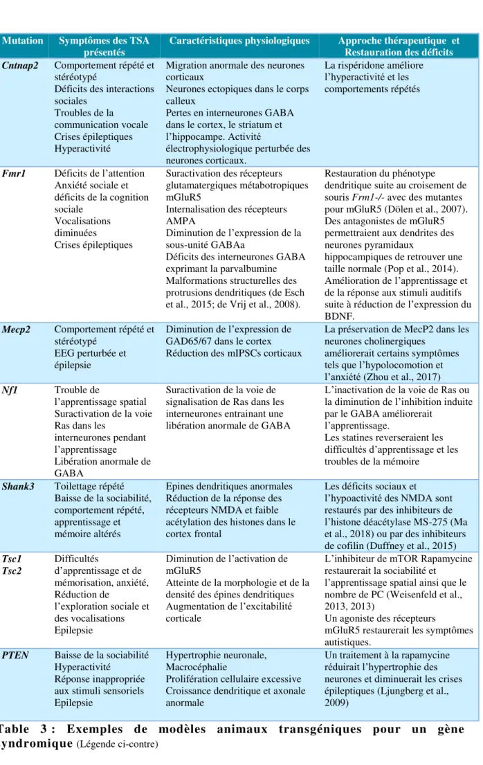 Table  3 :  Exemples  de  modèles  animaux  transgéniques  pour  un  gène  syndromique  (Légende ci-contre)