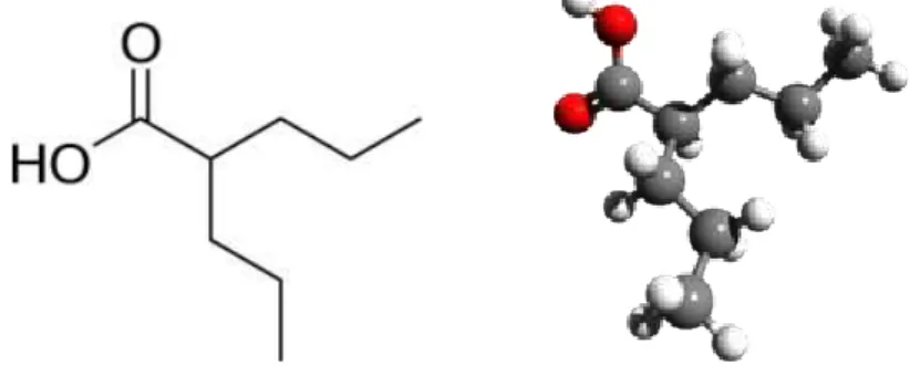 Figure 7 : Structure moléculaire de l’acide valproïque