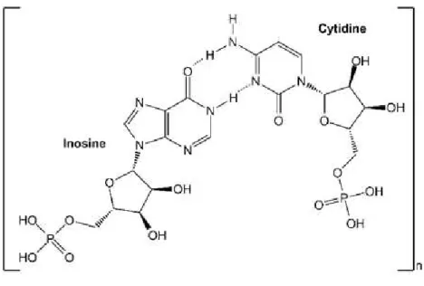 Figure 10 :  S tructure chimique de l’acide polyinosinique-polycytidylique  OH : groupe hydroxyle ; P : phosphate ; O : oxygène : N : azote ; H : hydrogène www.adipogen.com 