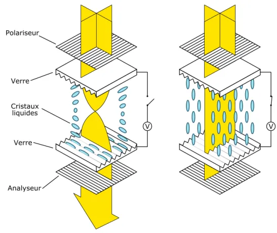 Figure 2.2 – Illustration du fonctionnement d’un sous-pixel dans un écran à cristaux liquides dans le cas de cristaux nématiques torsadés (en anglais twisted nematic , TN).