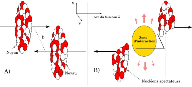 Figure 3.1 – Représentation schématique d’une réaction d’ions lourds ultra-relativistes, (A) avant et (B) après collision.