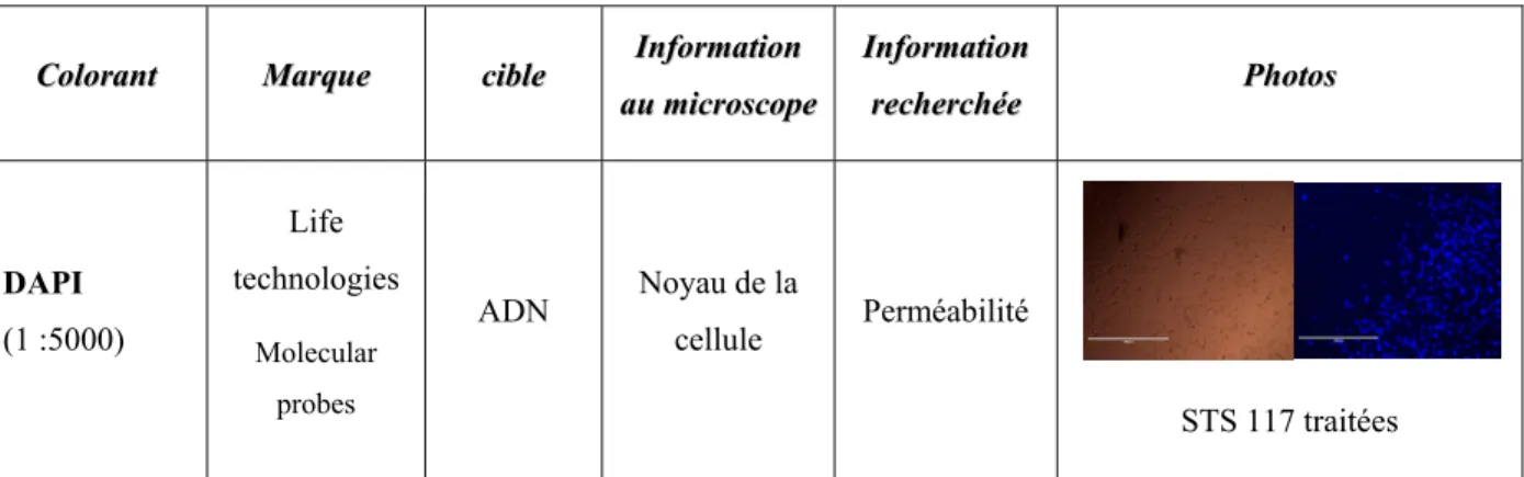 Tableau IV.  Caractéristiques des marqueurs ou colorants utilisés dans cette étude. 