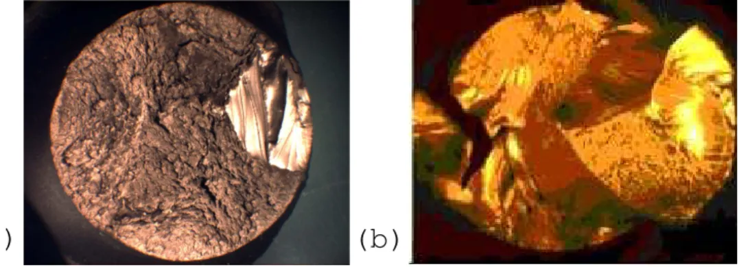 Fig. I.23 – Faci`es de rupture d’un ´eprouvette pour deux temp´eratures diff´erentes : (a) T=58 ◦ C, (b) T=83 ◦ C.