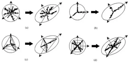 Fig. II.2 – Disposition des chaˆınes dans l’espace pour les diff´erents mod`eles : (a) orientation al´eatoire, (b) mod`ele trois chaˆınes, (c) mod`ele quatre chaˆınes, (d) mod`ele huit chaˆınes.