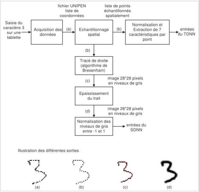 Illustration des différentes sorties