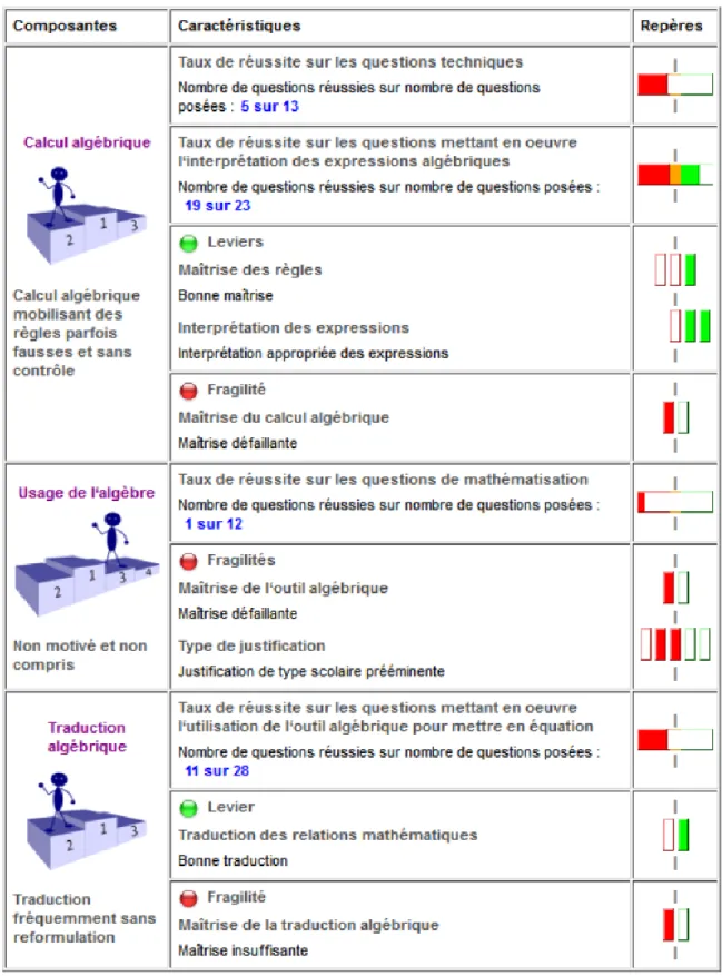 Figure 1 : Première interface pour afficher le diagnostic d’un élève (2010) 