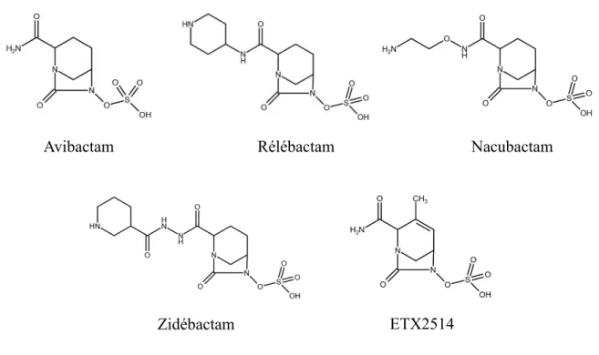 Figure 13.  Structure chimique des inhibiteurs de β -lactamases de la classe des diazabicyclooctanones