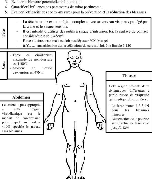 Figure I-19: Critères de sécurité appropriés à chaque région du corps humain, extrait de [32]