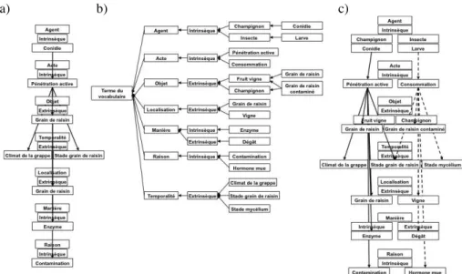 Figure  2.  Enchevêtrement  de  l’action  1  (‘Conidie’  ’Pénétration  active’  ‘Grain  de  raisin’,  selon  ‘Grain  de  raisin’,  ‘Climat  de  la  grappe’  &amp;  ‘Stade  grain  de  raisin’, 