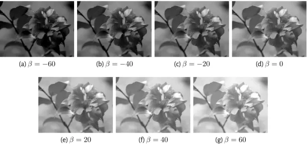 Figure 3.3 – Exemples d'images ayant subies une modification de luminance.