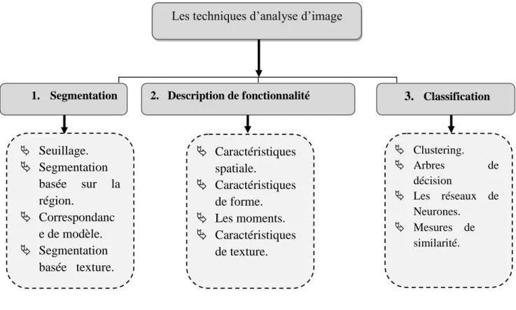 Fig I.1:  Les techniques de l’analyse d’image [5]. 