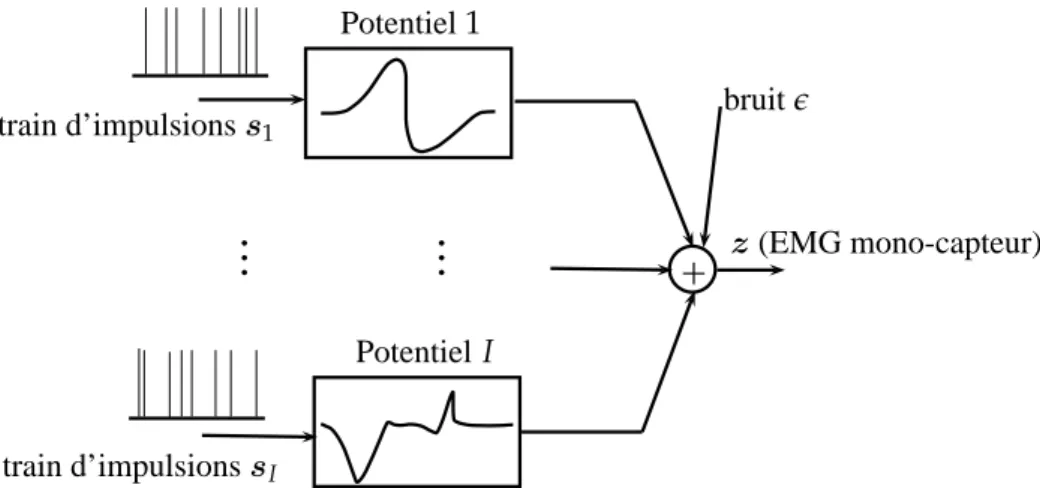 Fig. 1.3 – Modèle d’un signal EMG intramusculaire mono-capteur.