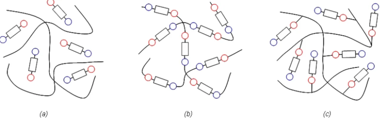 Fig. 2.4 – Diff´ erents syst` emes de polym` ere ´ electro-optique : dop´ e (a), ` a chaˆıne principale (b), greff´ e (c)