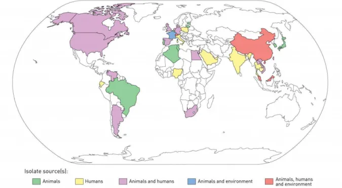 Figure 11 : Pays dans lesquels le gène  mcr-1  a été identifié (2016) 
