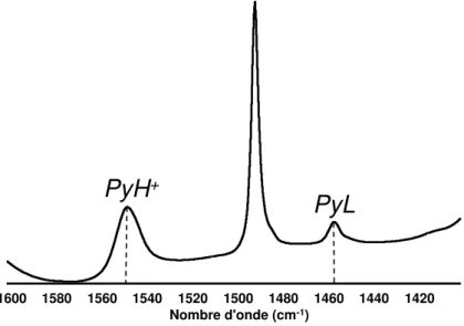 Figure II.4 Spectre IR de la zéolithe H-ZSM-5, Si/Al = 40 après adsorption de la pyridine à  150°C.