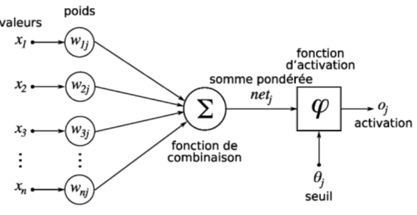 Fig. 6 – Structure d’un neurone artificiel. Le neurone calcule la somme de ses entr´ ees puis cette valeur passe ` a travers la fonction d’activation pour produire sa sortie.