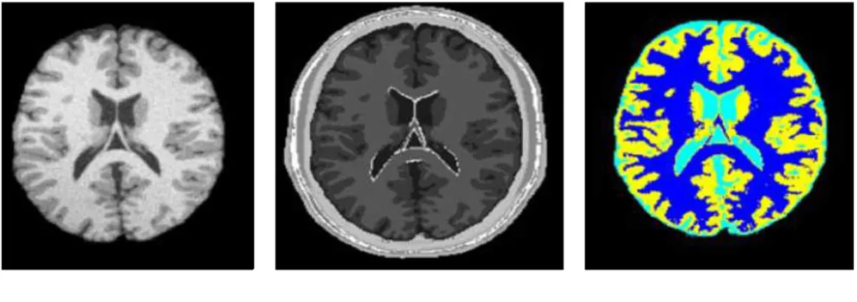 Fig. 7 – R´ esultats de segmentation obtenus par Mean Shift - tir´ e de [121].